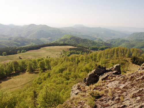 Foto Vedere peste Poiana Mlejdei (c) Petru Goja